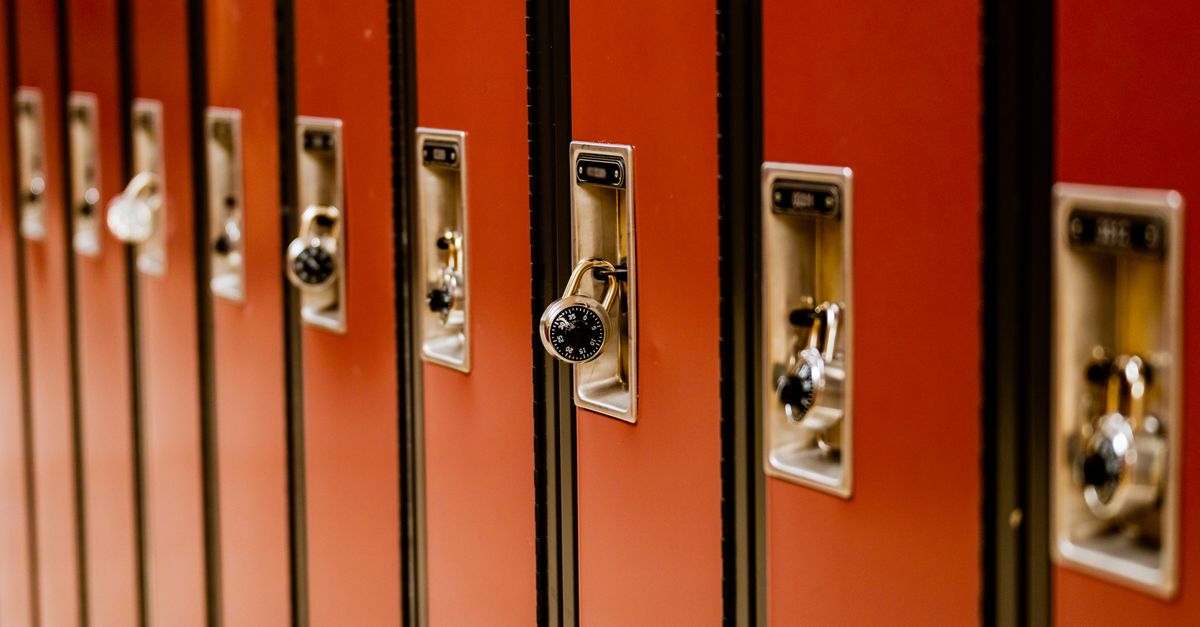 What Is a Mortise Lock and Why Do So Many Columbia Buildings Still Use Them? — Pro Columbia Locksmith